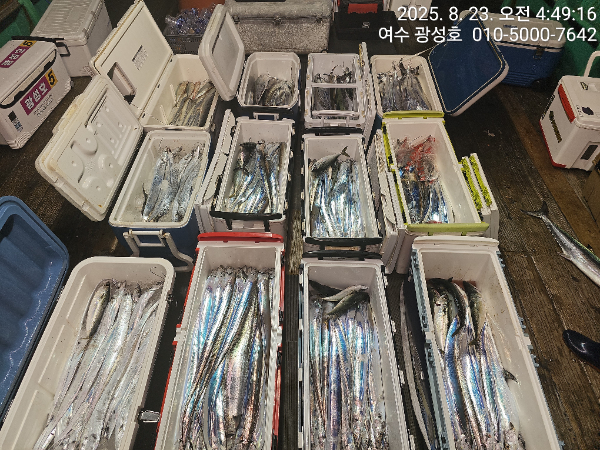 KakaoTalk_20250823_172651676_10.jpg