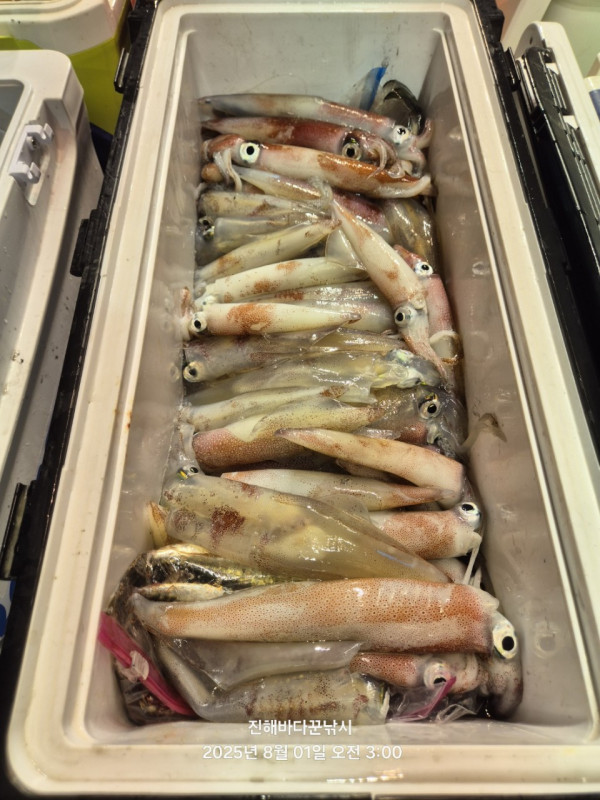 바다꾼낚시(신아라호)_사진_20250801_9.jpg
