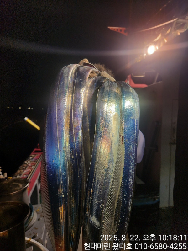 BandPhoto_2025_08_23_09_06_11_31.jpg