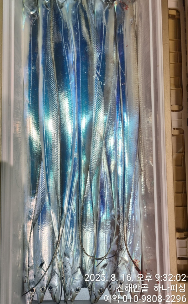 1000120463.jpg