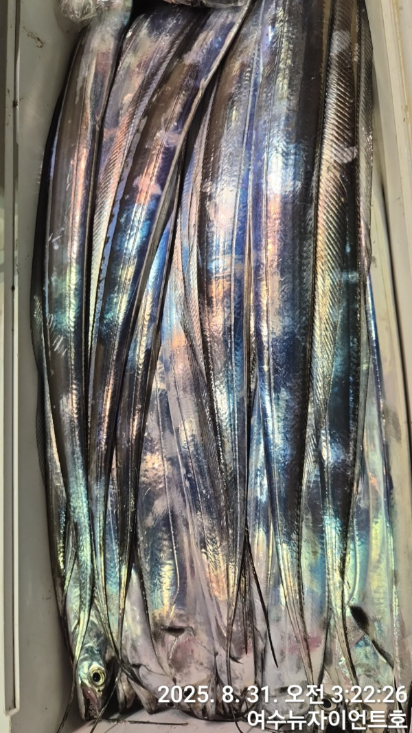 1756583098493-6.jpg