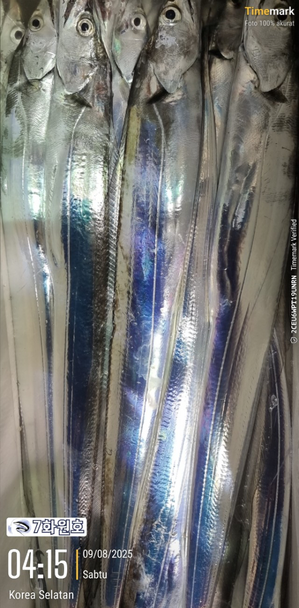 D37D5015-1CE9-449A-906D-299B2B0F53BD.jpeg