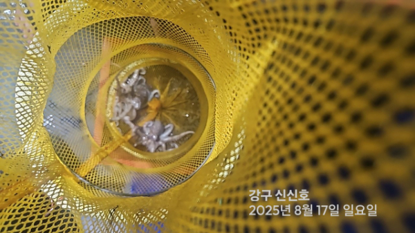 신신낚시 강구점 신신호_사진_20250817_12.jpg