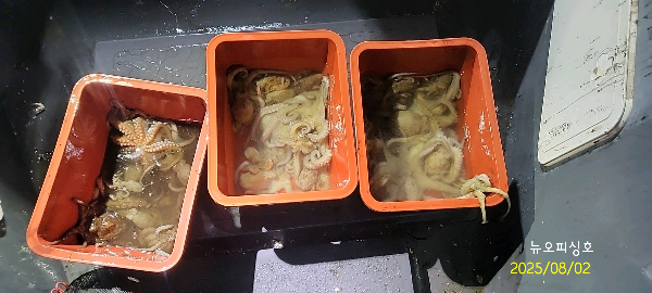 DateCamera0802235607.jpg