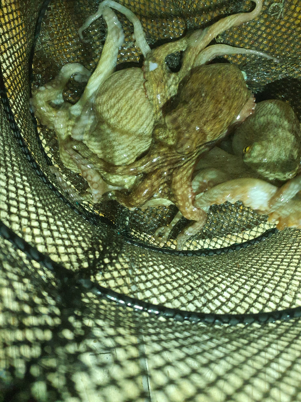 20250831_014650.jpg