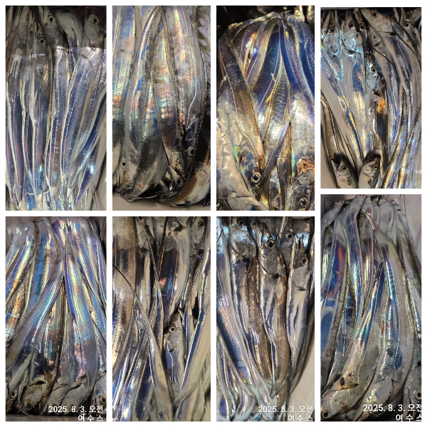 1000034543.jpg
