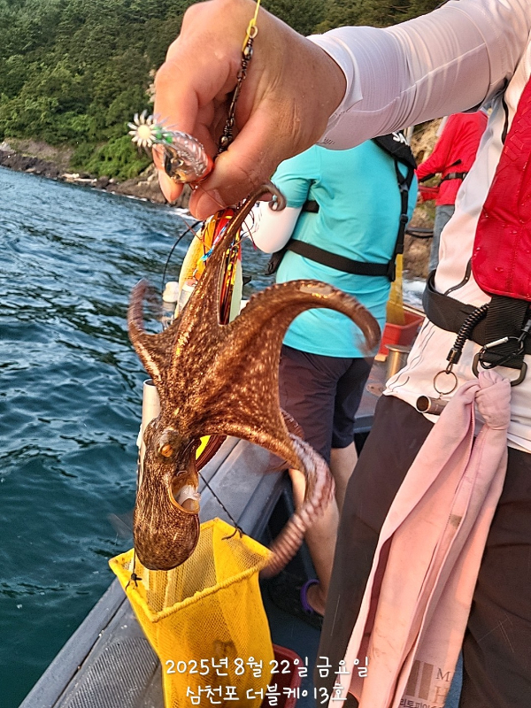KakaoTalk_20250822_193720384.jpg