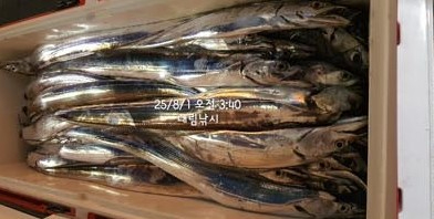 Screenshot 2025-08-02 at 09.30.09.JPG