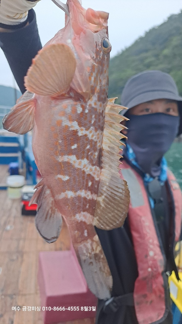 여수금강피싱_사진_20250803_8.jpg