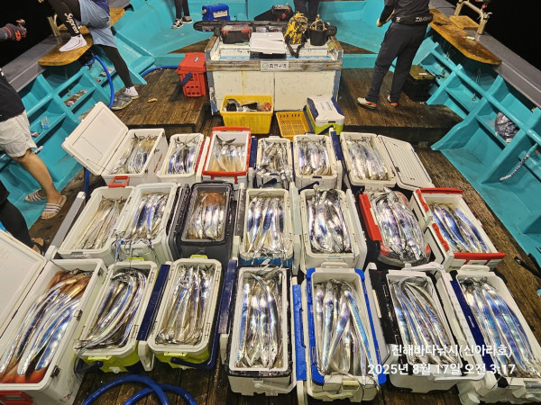 바다꾼낚시(신아라호)_사진_20250817_4.jpg