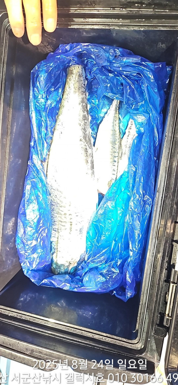 KakaoTalk_20250824_085534093_11.jpg