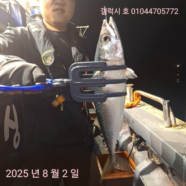 군산 선상낚시, 바다낚시 출조 전문 ☆서군산낚시☆_사진_20250803_17.jpg