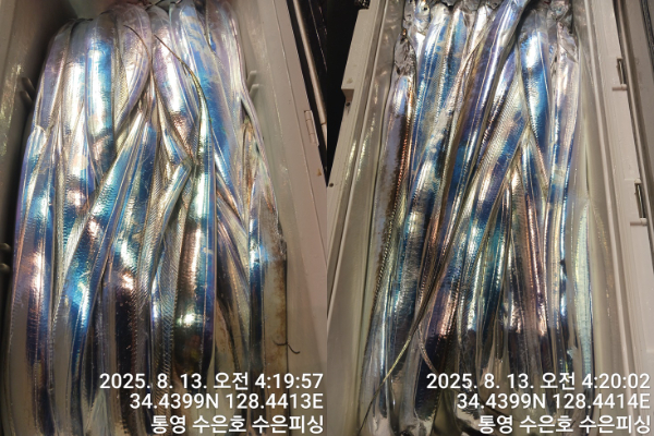 1755027076481-tile.jpg