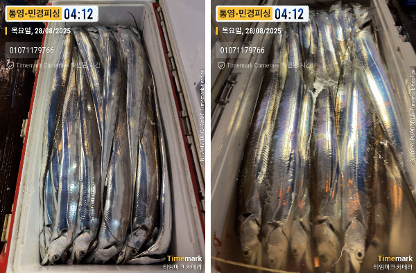 이미지.jpeg