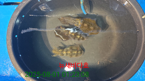 13a447c2db1e1c0a04466866454e268f.jpg