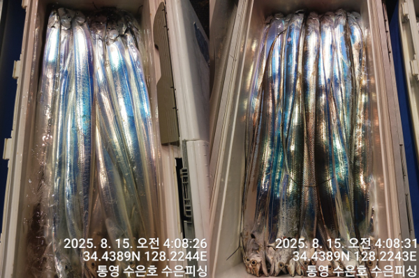 1755205279845-tile.jpg