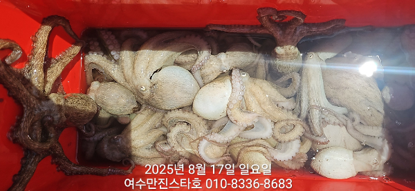 141a81963c2ed2ca2ec2f8849ada09d8.jpg