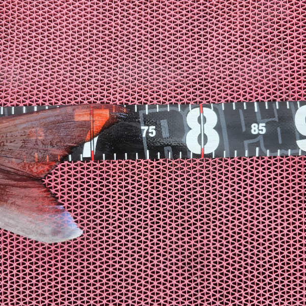 1000042013.jpg