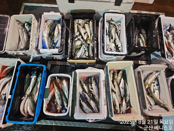KakaoTalk_20250821_034010380.jpg