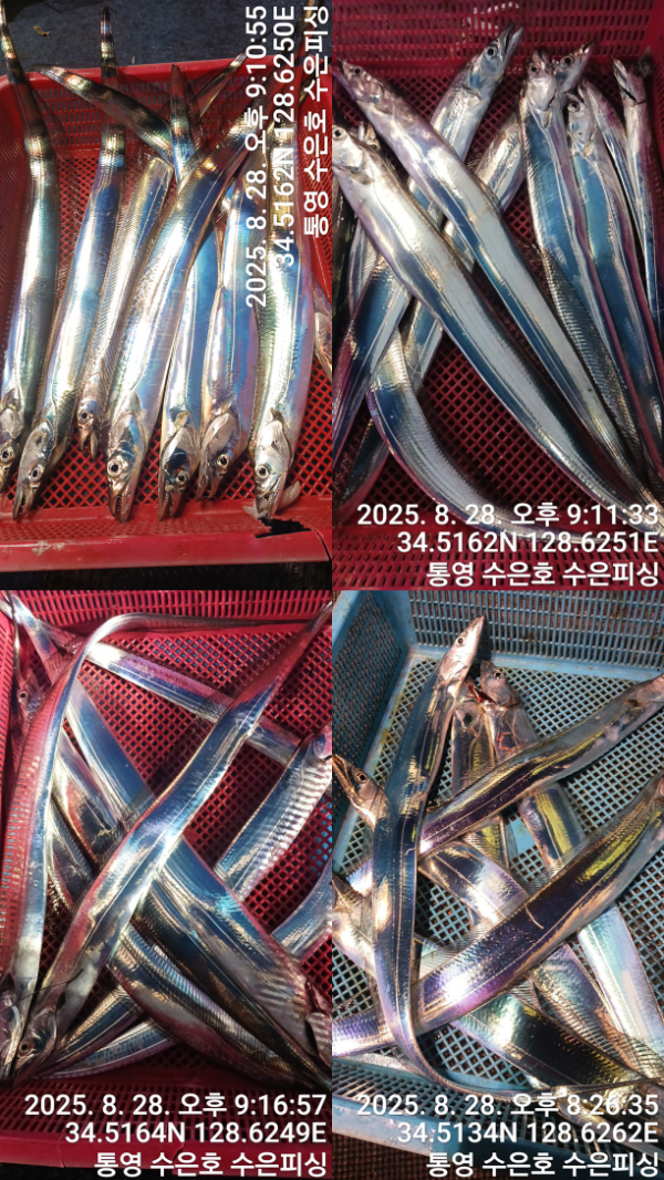 1756414478960-tile.jpg