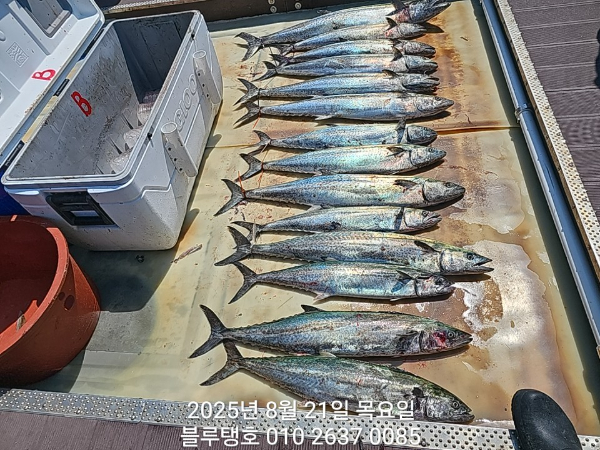 20250821_132235.jpg