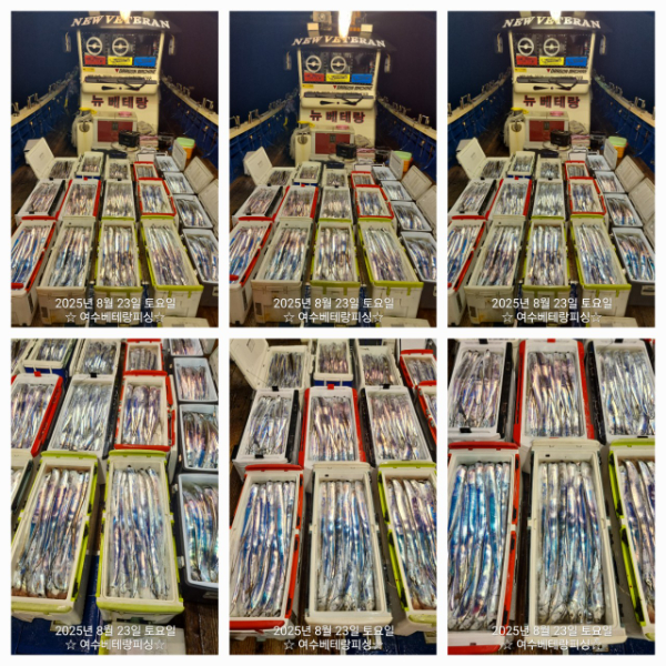 1000082403.jpg