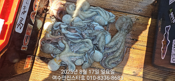 152bc3c54801fcb6ace50e8695ec973e.jpg