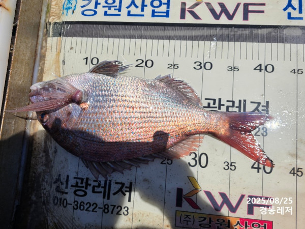 슬라이드0007.jpg