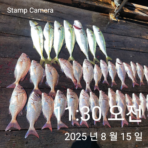 StampCamera20250815113040.jpg