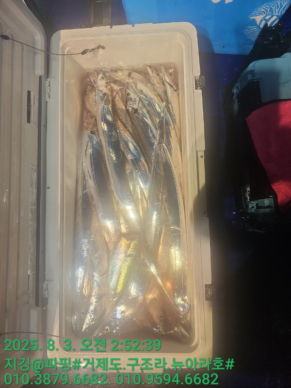 KakaoTalk_20250804_145443382_14.jpg