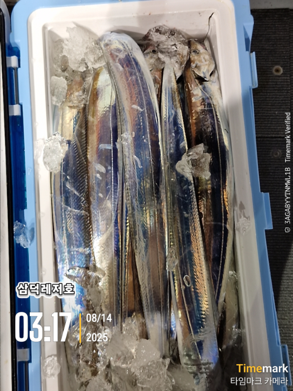 1755115112465.jpg