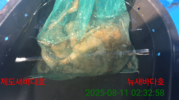 16f7e598863c4aa8985e20a42742cdbb.jpg