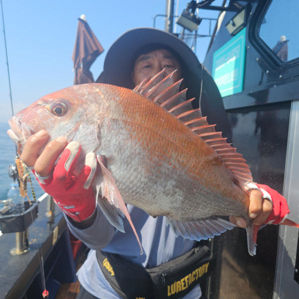 마검포 대한호(VIP)_사진_20250823_4.jpg