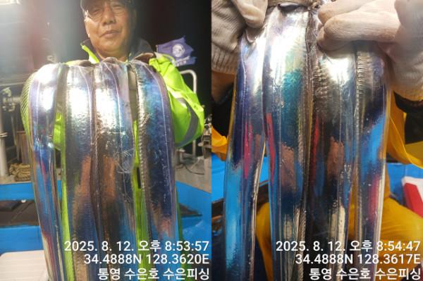 1755003692436-tile.jpg