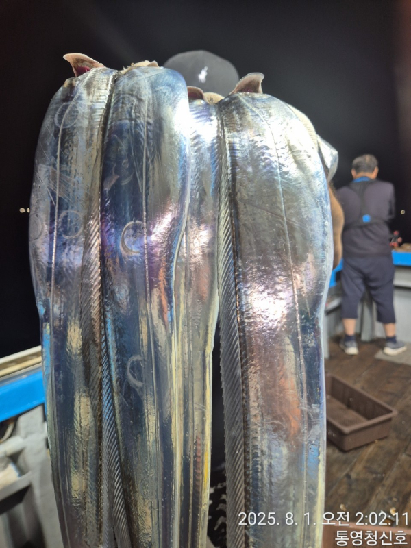바다의 전설 부평25_사진_20250801_13.jpg