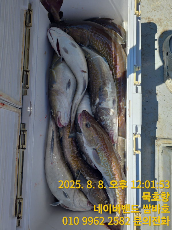 TimePhoto_20250808_120153.jpg