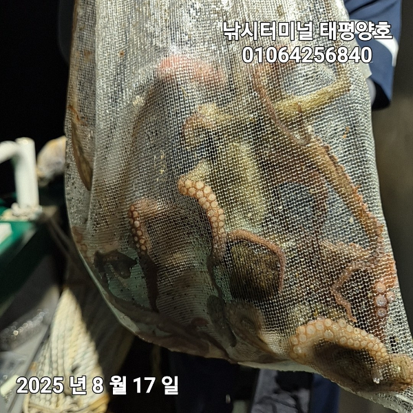 KakaoTalk_20250817_023046900_18.jpg
