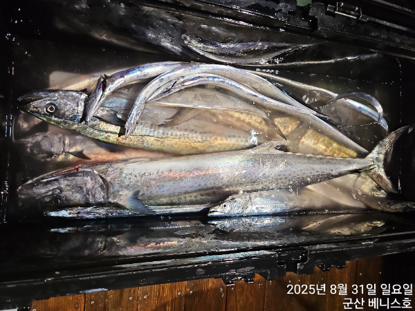 KakaoTalk_20250831_034722265_05.jpg