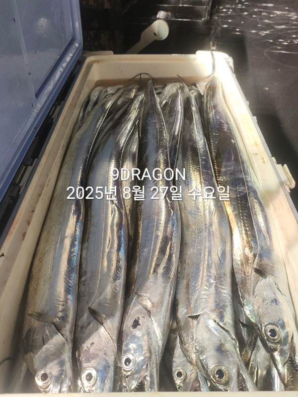 B88ABF32-62AE-4E4C-BC09-D145FABAD96C.jpeg