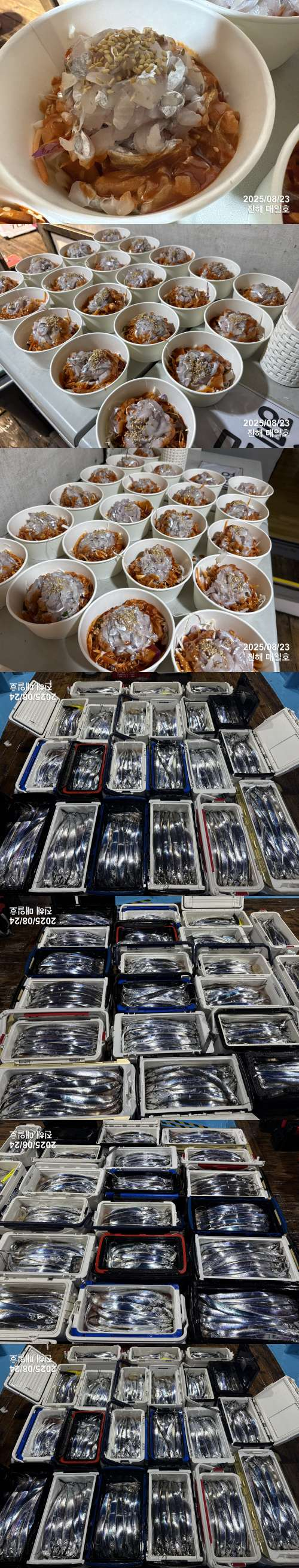 갈치2.jpg