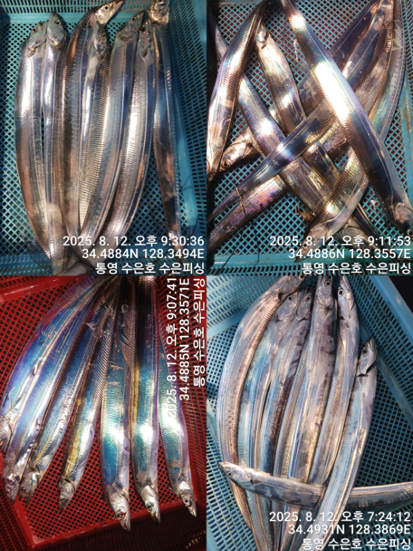 1755003693501-tile.jpg