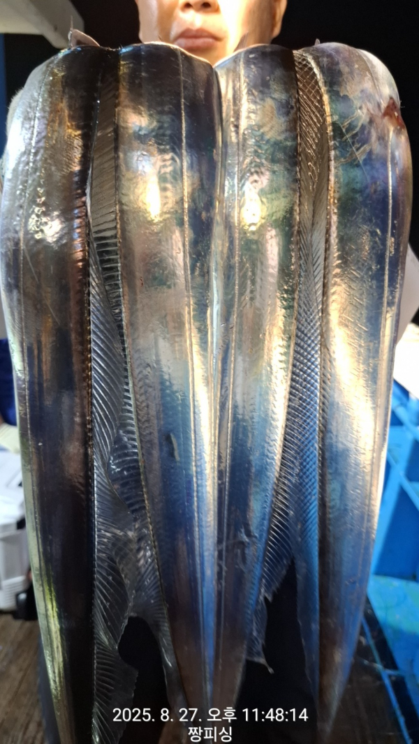 1000058401.jpg