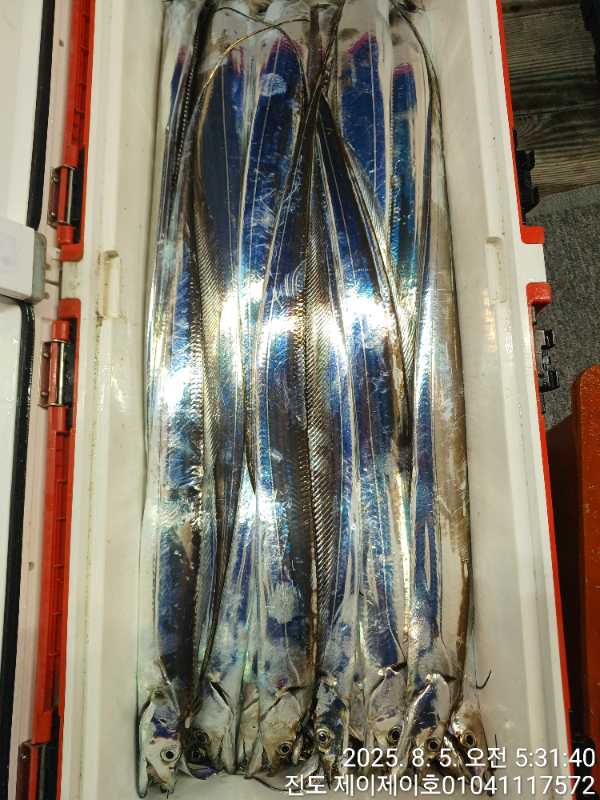 1000035188.jpg