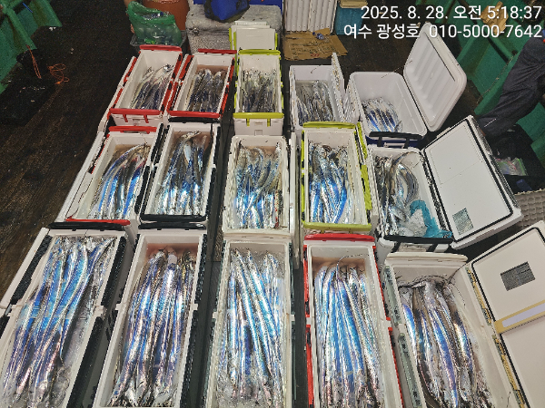 KakaoTalk_20250828_184111505_17.jpg