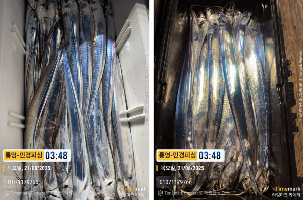 이미지.jpeg