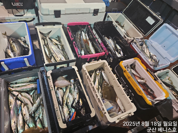 KakaoTalk_20250818_040605099_01.jpg