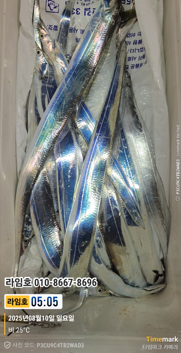 KakaoTalk_20250812_064644910_02.jpg
