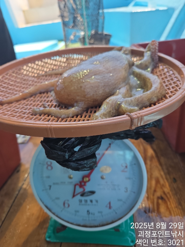 KakaoTalk_20250829_142318680_11.jpg