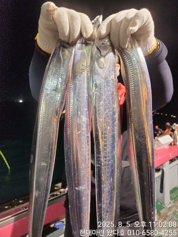 BandPhoto_2025_08_06_15_05_01_8.jpg
