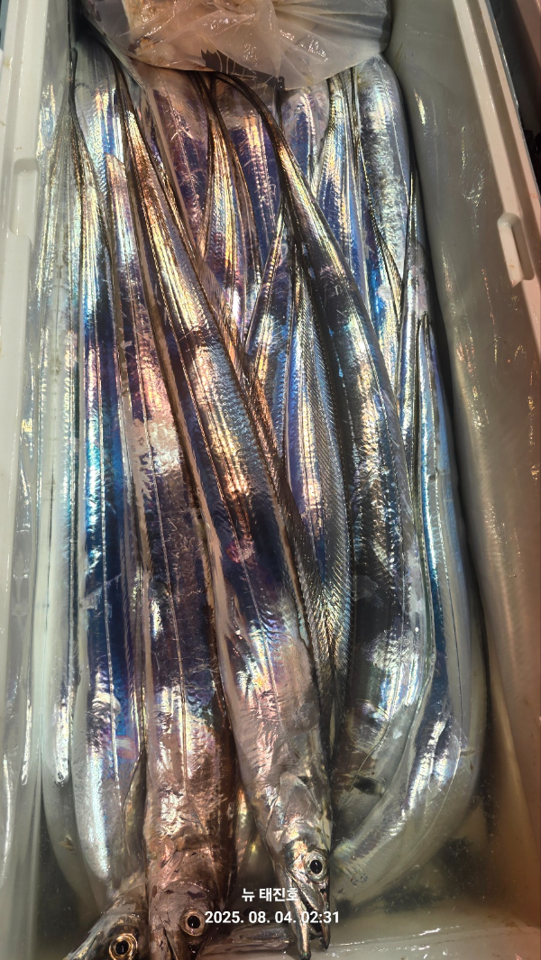 1f0a15cdddfda226617dd10433e7d8a6.jpg